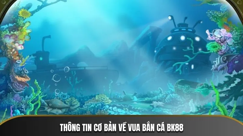 Thông tin cơ bản về Vua Bắn Cá 3D BK88